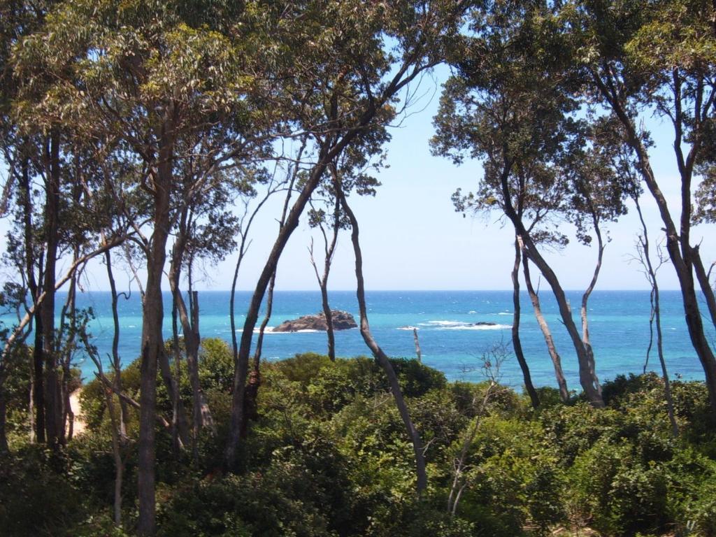 Smugglers On The Beach Hotell Coffs Harbour Exteriör bild